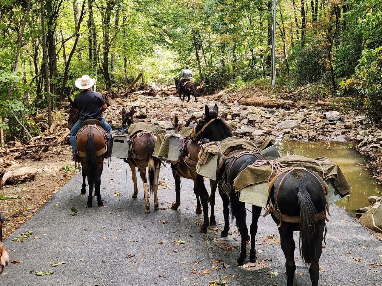 Hurricane Helene Relief: The Mountain Mule Packers