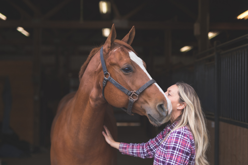 How Much Does It Cost to Keep a Horse? Leasing vs. Owning