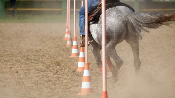 Pole Bending: Overview & Patterns for Beginners