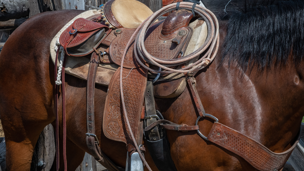 7 Western Riding Disciplines