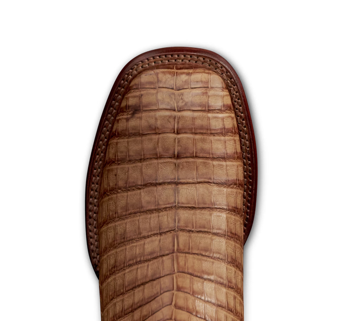 The William in Toffee/Navy