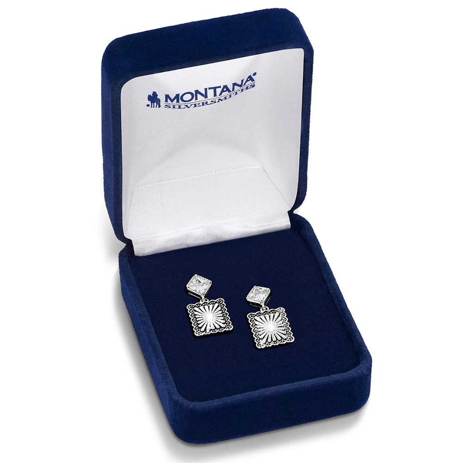 Starlit Canyon Earrings