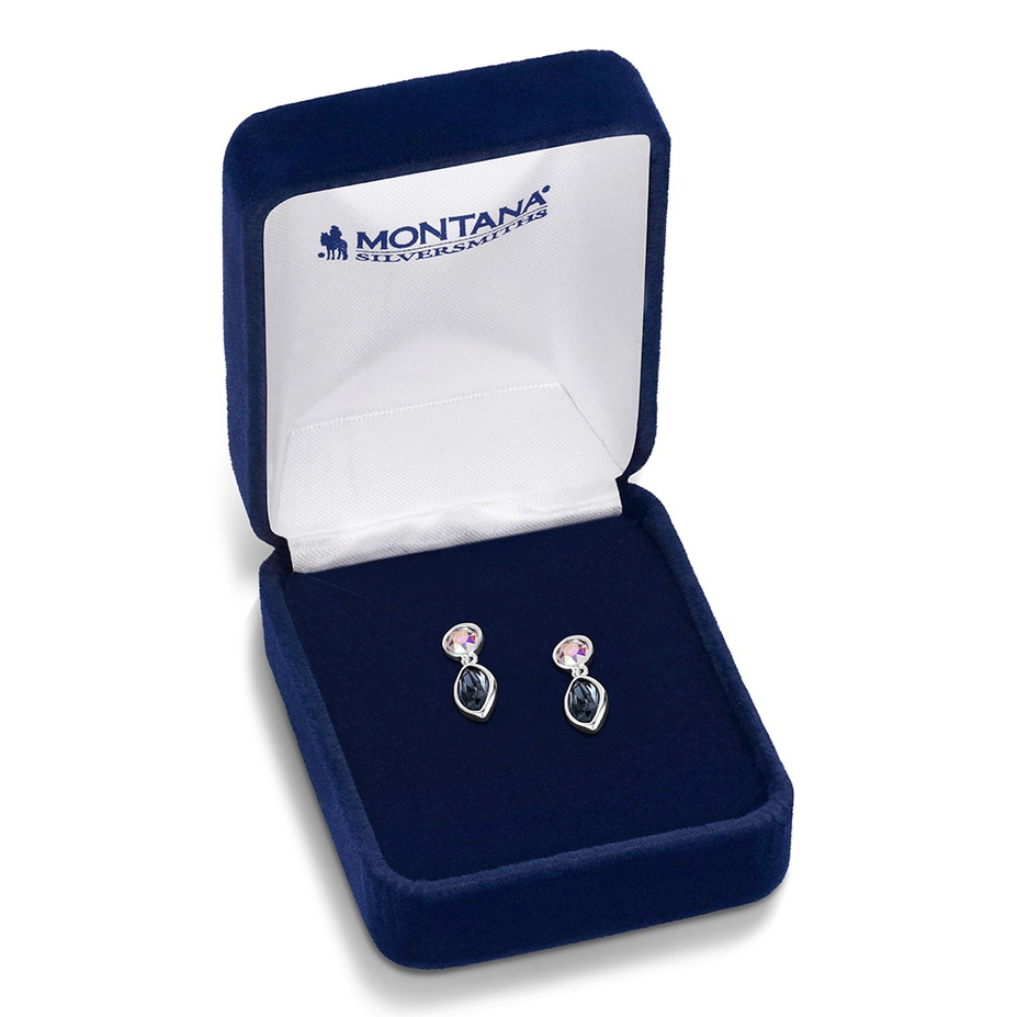 Stillwater Crystal Earrings