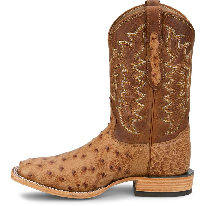 Juan 11" Full Quill Ostrich