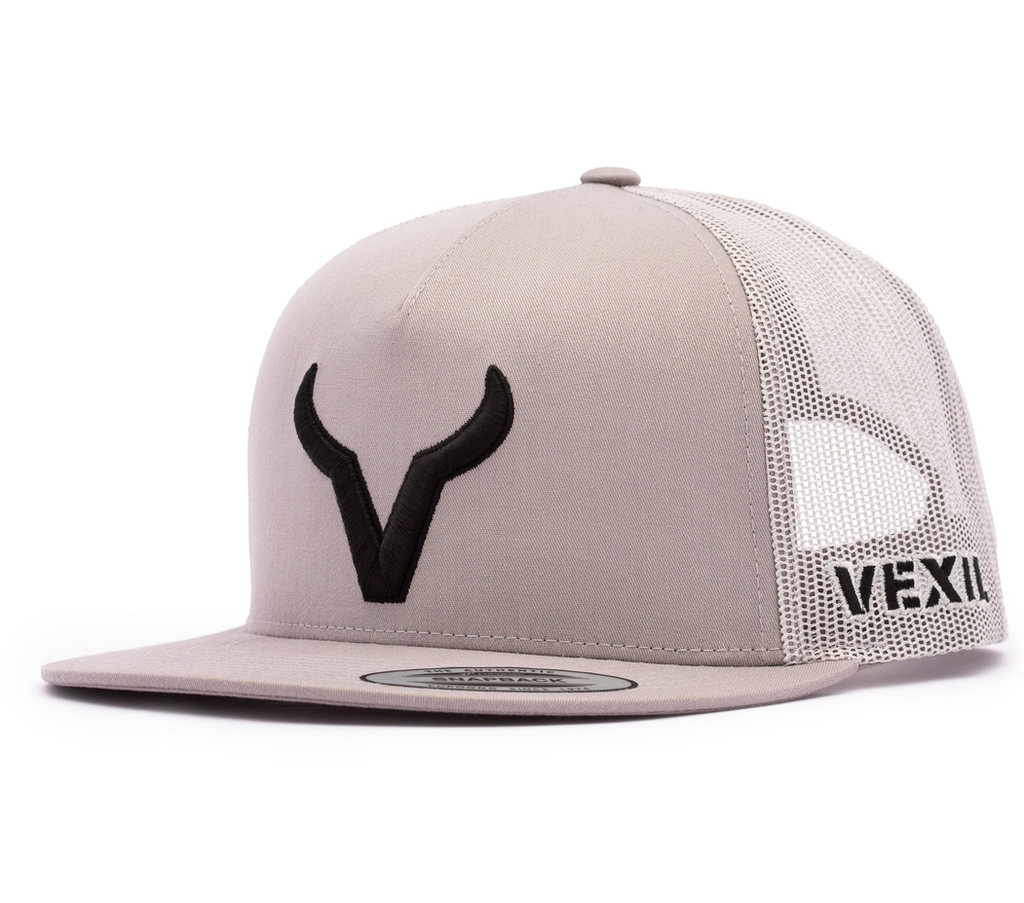 Black Icon Silver/Silver Mesh Retro Snapback Hat
