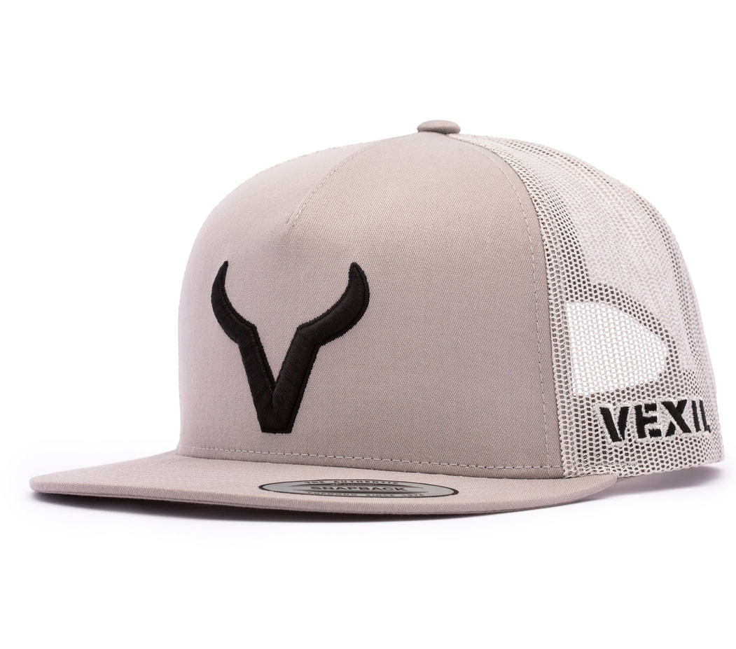 Black Icon Silver/Silver Mesh Retro Snapback Hat
