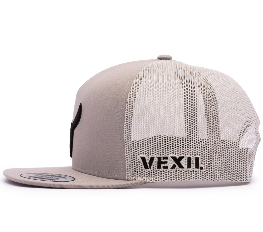 Black Icon Silver/Silver Mesh Retro Snapback Hat