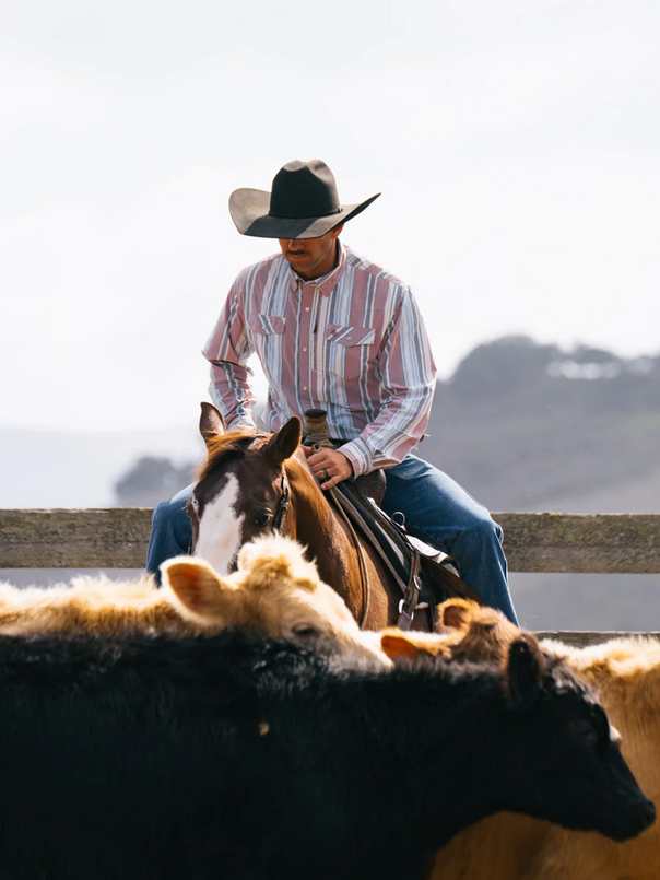 Rangetek Western Guide Snap Shirt Novelty