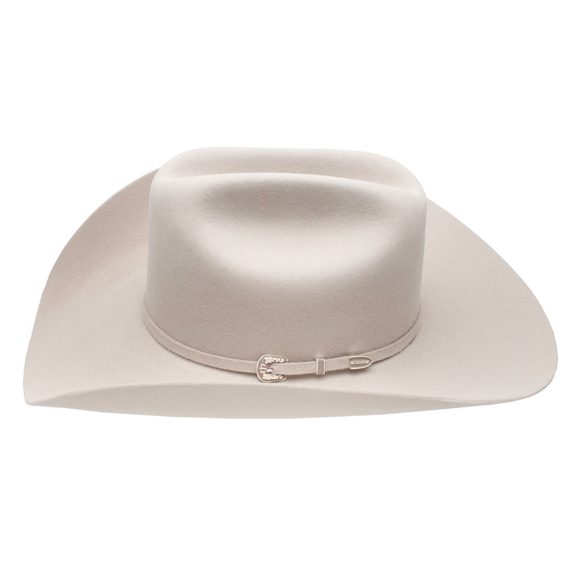 250TH SKYLINE SILVERBELLY