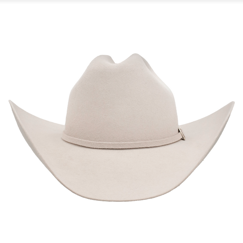 250TH SKYLINE SILVERBELLY