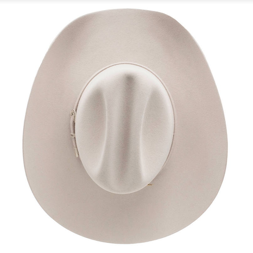 250TH SKYLINE SILVERBELLY