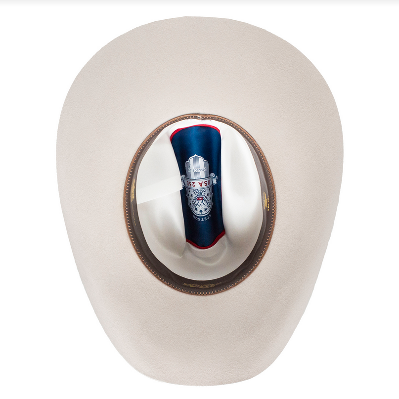 250TH SKYLINE SILVERBELLY