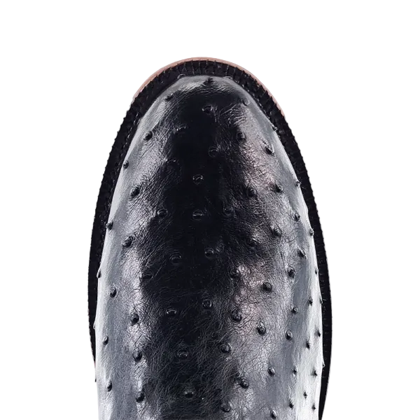Black Full Quill Ostrich Sq Toe