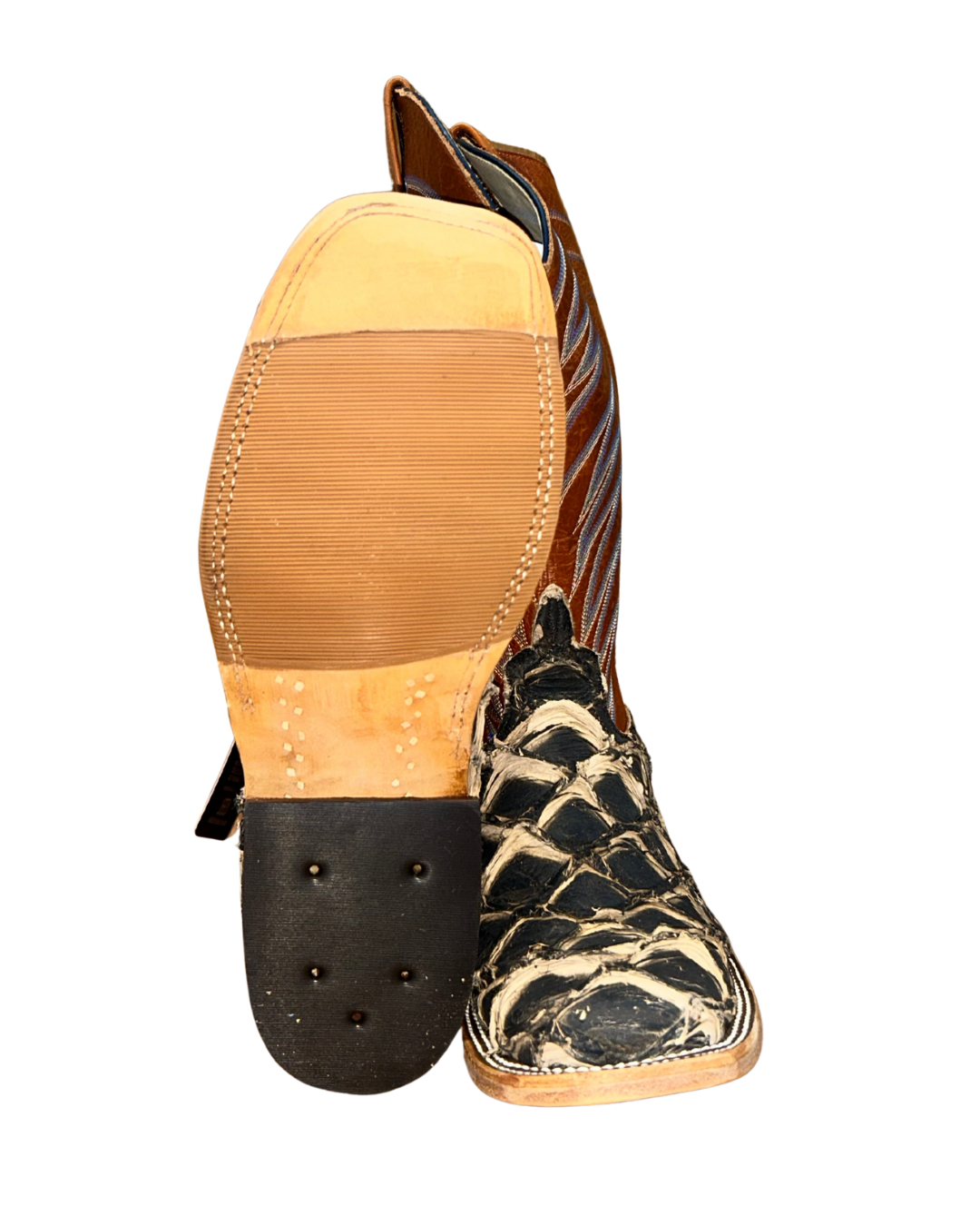 Anderson Bean Rust Big Bass