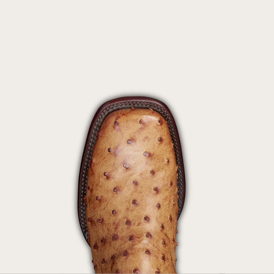 Screenshot 2025-04-29 at 10-03-19 The Emmitt in Sunset_Midnight Ostrich - Men's Cowboy Boot Tecovas