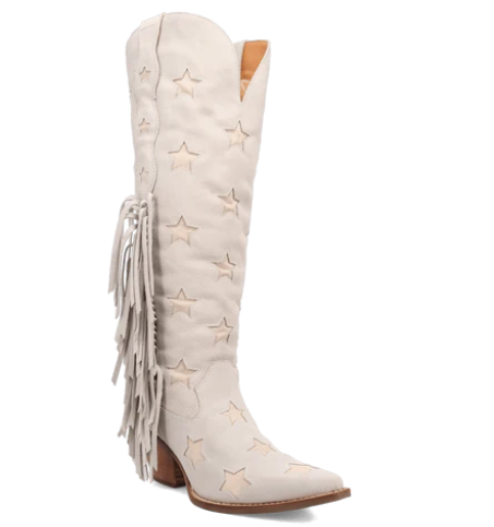 Screenshot 2025-06-05 at 17-12-07 SUPER STAR SUEDE BOOT – Dingo1969
